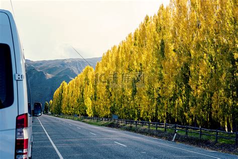 高速公路旁的白花|高速旁的白花風情